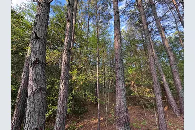 1465 6 Highway, Gaston, SC 29053 - Photo 25