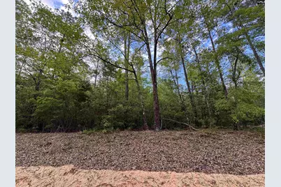 1465 6 Highway, Gaston, SC 29053 - Photo 15