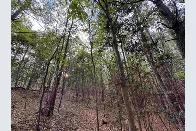 1465 6 Highway, Gaston, SC 29053 - Photo 37