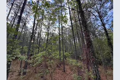 1465 6 Highway, Gaston, SC 29053 - Photo 33