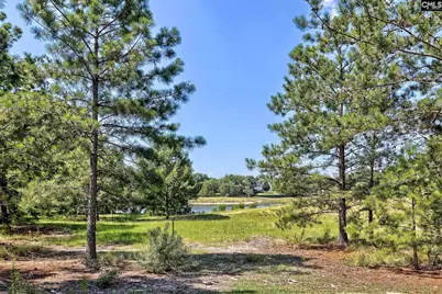 1110 Hamilton Place Circle, Columbia, SC 29229 - Photo 29
