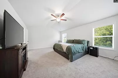 134 Belfast Way, Lexington, SC 29073 - Photo 13