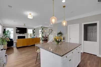 510 Palmerston Way, Chapin, SC 29036 - Photo 19