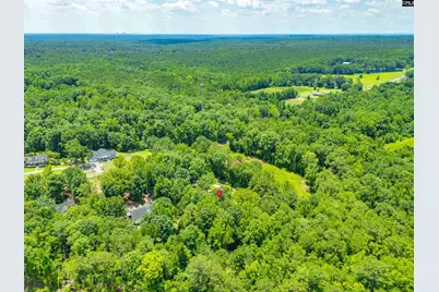2017 Lorick Road, Blythewood, SC 29016 - Photo 43