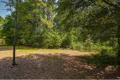 416 Otis Road, Pelion, SC 29123 - Photo 47