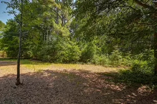 416 Otis Rd, Pelion, SC 29123 - Photo 47