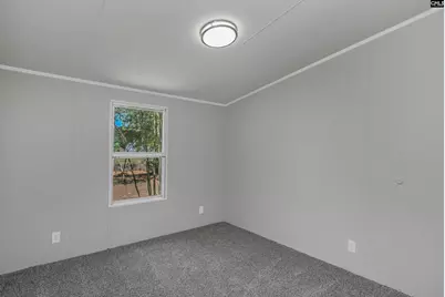 416 Otis Road, Pelion, SC 29123 - Photo 29