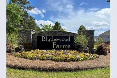 3041 Hanging Valley Road, Blythewood, SC 29016 - Photo 33