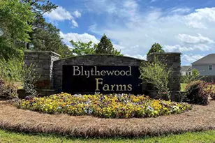3041 Hanging Valley Rd, Blythewood, SC 29016 - Photo 33