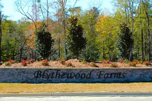 3041 Hanging Valley Rd, Blythewood, SC 29016 - Photo 41