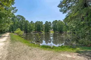 238 Hilton View Ct, Chapin, SC 29036 - Photo 35