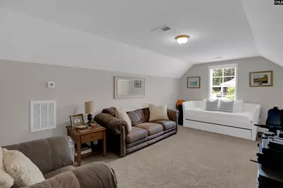 238 Hilton View Court, Chapin, SC 29036 - Photo 21