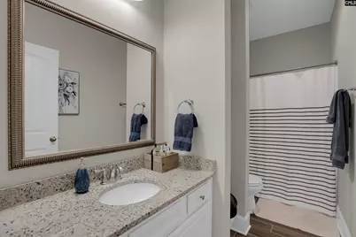 238 Hilton View Court, Chapin, SC 29036 - Photo 17