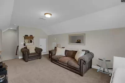 238 Hilton View Court, Chapin, SC 29036 - Photo 37