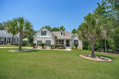 238 Hilton View Court, Chapin, SC 29036 - Photo 3