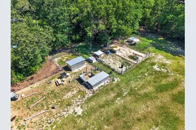 1007 Gus Sturkie Road, Swansea, SC 29160 - Photo 63