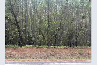 1139 Brewer Springs Road, Camden, SC 29020 - Photo 5
