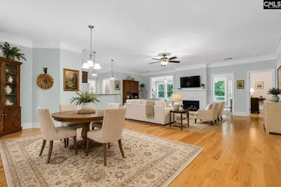 209 High Pointe Drive, Blythewood, SC 29016 - Photo 7