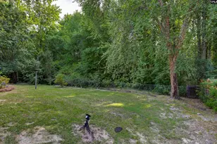 222 Red Leaf Ct, Lexington, SC 29073 - Photo 23