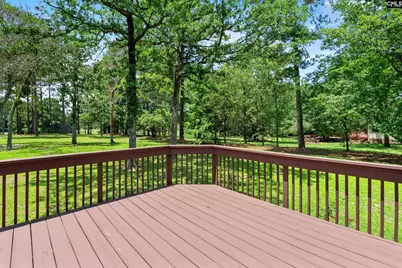 120 Overlook Drive, Blythewood, SC 29016 - Photo 37