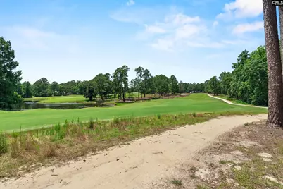 120 Overlook Drive, Blythewood, SC 29016 - Photo 41