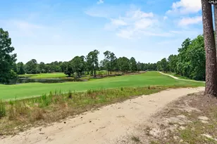 120 Overlook Dr, Blythewood, SC 29016 - Photo 41