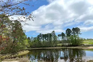 643 Thunder Gulch Ave, Lexington, SC 29073 - Photo 31