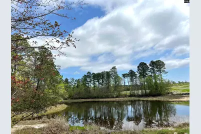 643 Thunder Gulch Road, Lexington, SC 29073 - Photo 33