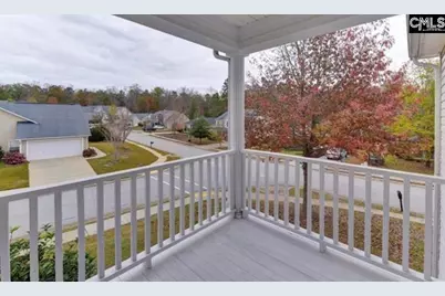 268 Foxport Drive, Chapin, SC 29036 - Photo 23