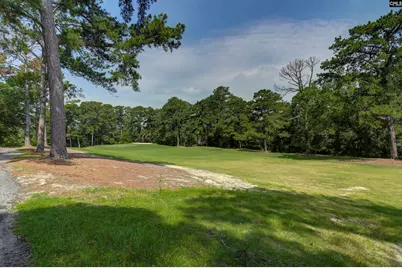 38 Mallet Hill Court, Columbia, SC 29223 - Photo 63