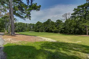 38 Mallet Hill Ct, Columbia, SC 29223 - Photo 63