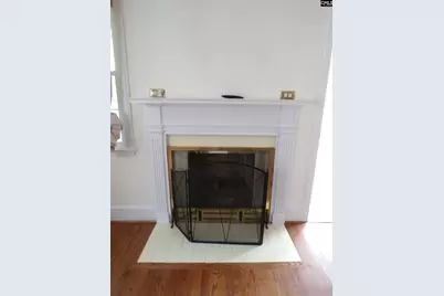 116 Davis Street, Bishopville, SC 29010 - Photo 5
