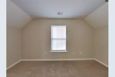 224 Barnevelder Drive, Lexington, SC 29072 - Photo 13
