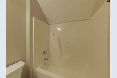 224 Barnevelder Drive, Lexington, SC 29072 - Photo 11