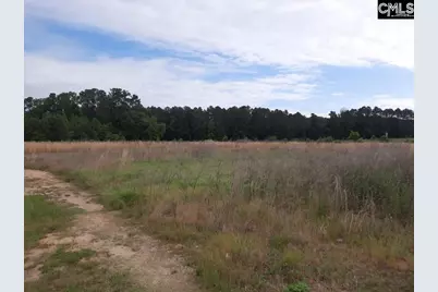 177 Thomas Griffin Road, Newberry, SC 29108 - Photo 3