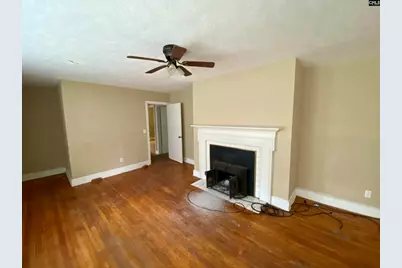 249 Richards Street, Denmark, SC 29042 - Photo 7