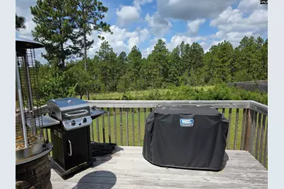 538 Sasanqua Lane, Lexington, SC 29073 - Photo 25