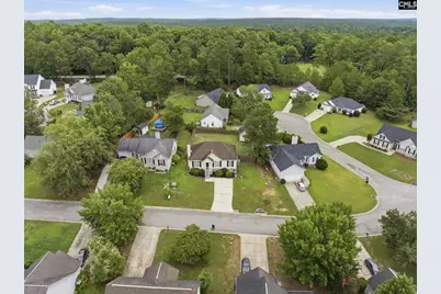 504 Beech Branch Drive, Irmo, SC 29063 - Photo 3