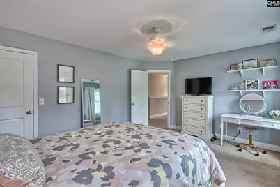 347 Duck Creek Lane, Lexington, SC 29072 - Photo 29