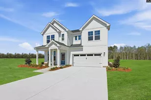 554 Old Charleston Rd, Pelion, SC 29123 - Photo 9