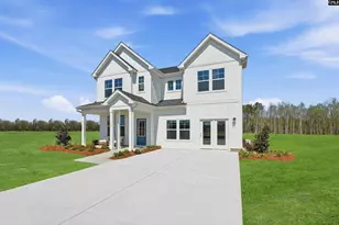 554 Old Charleston Rd, Pelion, SC 29123 - Photo 3