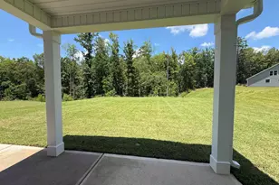 31 Spider Web Ct, Blythewood, SC 29016 - Photo 43