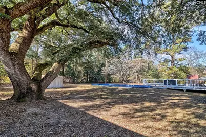 150 Timmerman Road, Swansea, SC 29160 - Photo 29