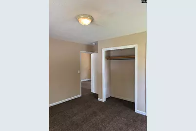 3124 Pine Plain Road, Swansea, SC 29160 - Photo 13