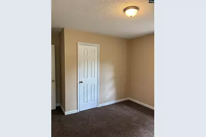 3124 Pine Plain Road, Swansea, SC 29160 - Photo 11
