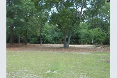 649 Laurel Road, Lexington, SC 29073 - Photo 3