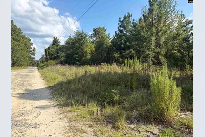 0 Valley Stream Road, Leesville, SC 29070 - Photo 7