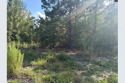 0 Valley Stream Road, Leesville, SC 29070 - Photo 5