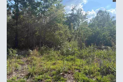 0 Valley Stream Road, Leesville, SC 29070 - Photo 3