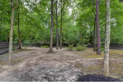 221 Alston Circle, Lexington, SC 29072 - Photo 35